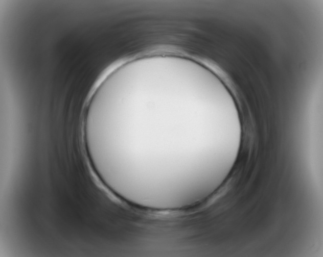 X0000083991390200703091836