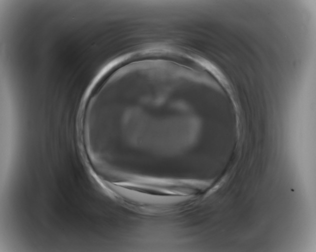 X0000083991392200703091836