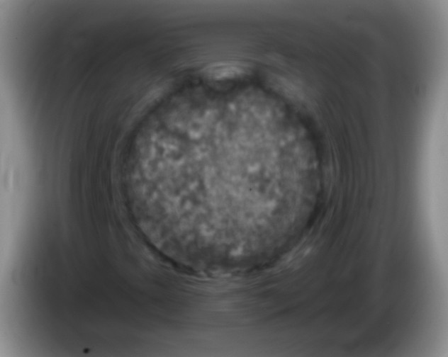 X0000083991393200703091835