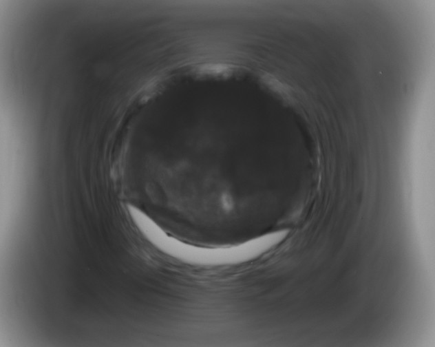 X0000083991394200703091835