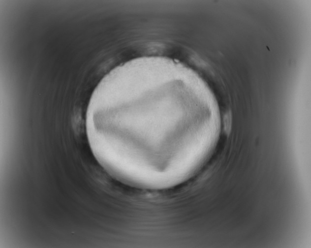 X0000083991395200703091835