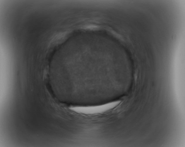 X0000083991397200703091835