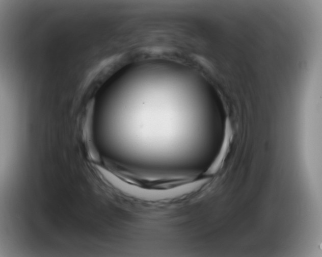 X0000083991398200703091835