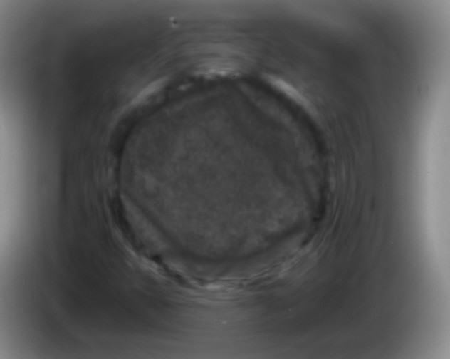 X0000083991399200703091835