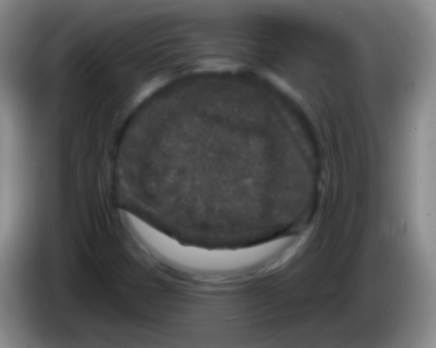 X0000083991401200703091835