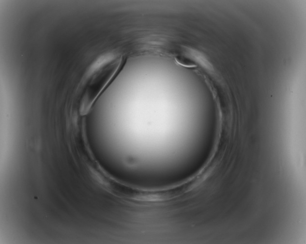 X0000083991402200703091835