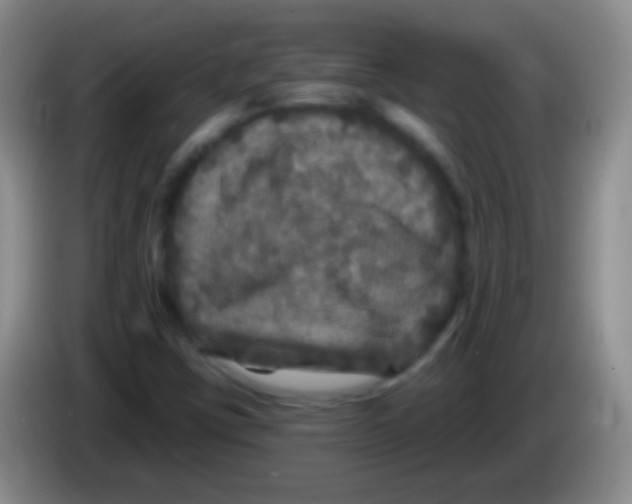 X0000083991403200703091835