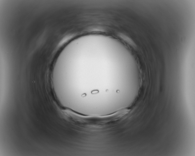 X0000083991404200703091835