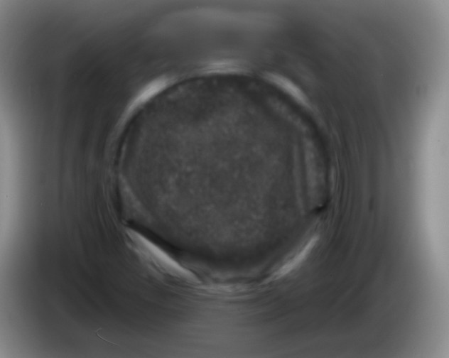 X0000083991405200703091835