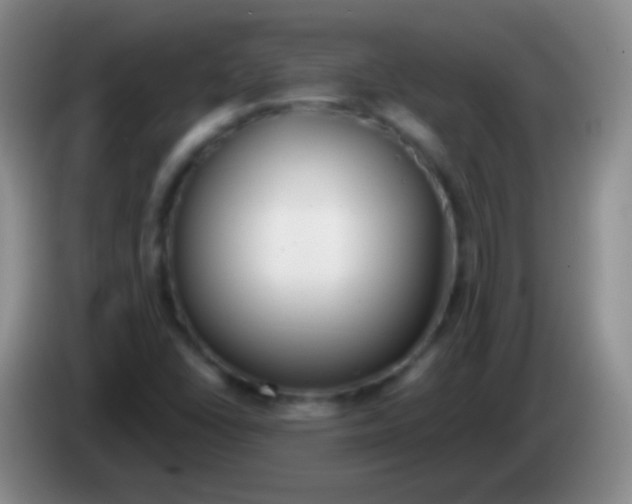 X0000083991406200703091835