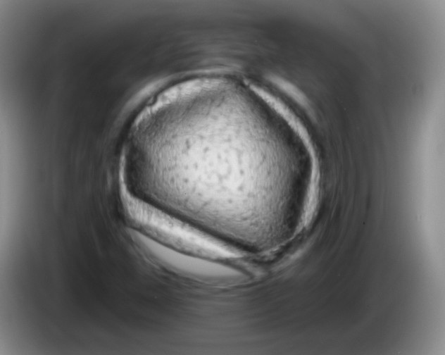 X0000083991407200703091835