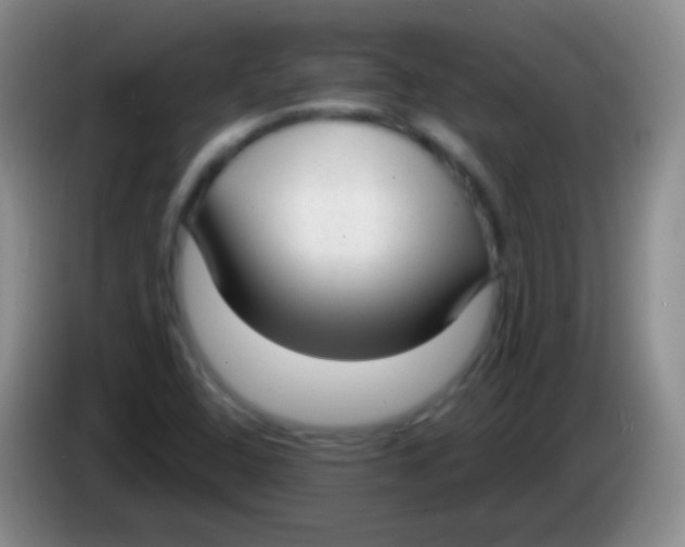 X0000083991408200703091835