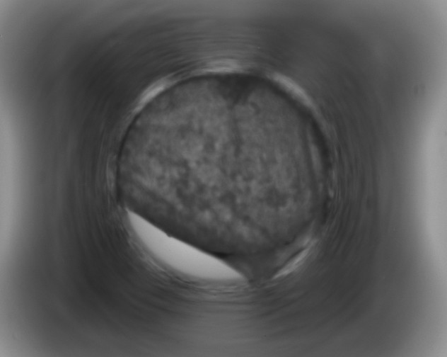 X0000083991409200703091835