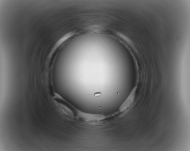 X0000083991410200703091835