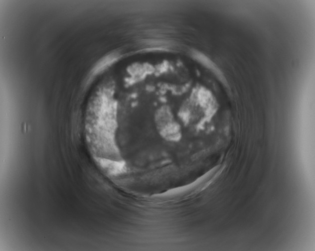 X0000083991411200703091835