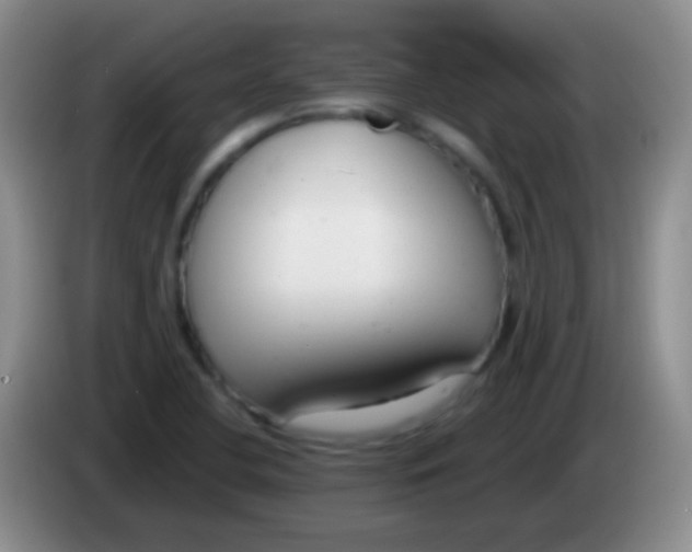 X0000083991412200703091835