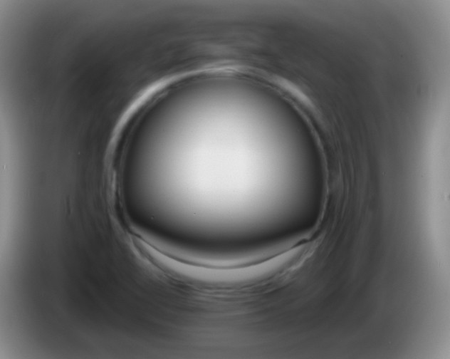 X0000083991414200703091835