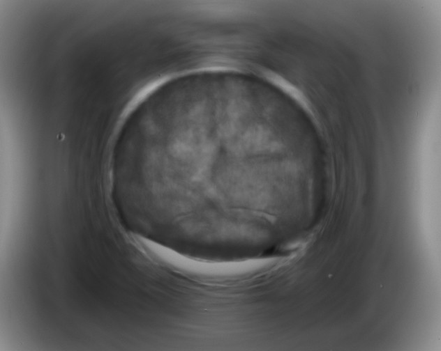 X0000083991415200703091835