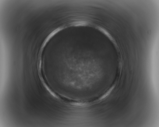 X0000083991418200703091835