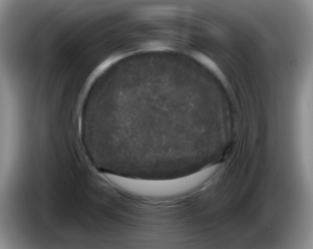 X0000083991419200703091835