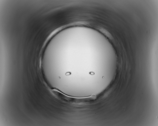 X0000083991420200703091835