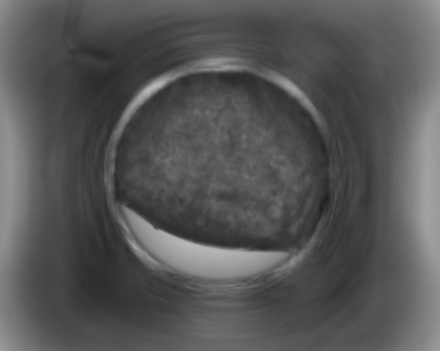 X0000083991421200703091835