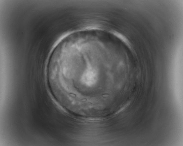 X0000083991423200703091836