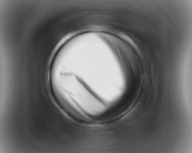 X0000083991424200703091836