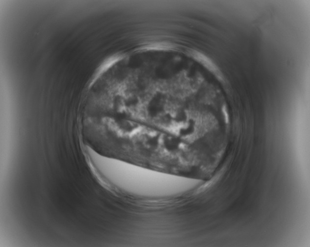 X0000083991425200703091836