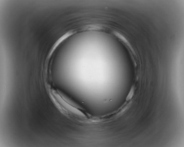 X0000083991426200703091836