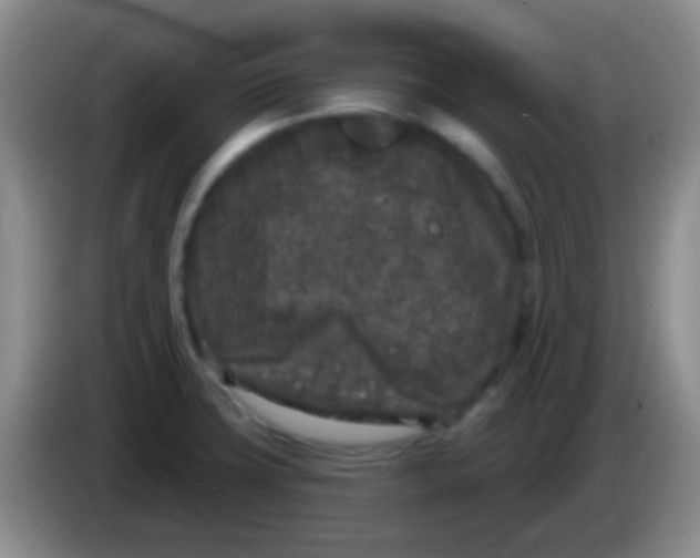 X0000083991427200703091836