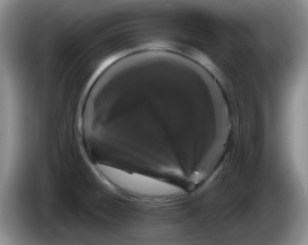 X0000083991428200703091836