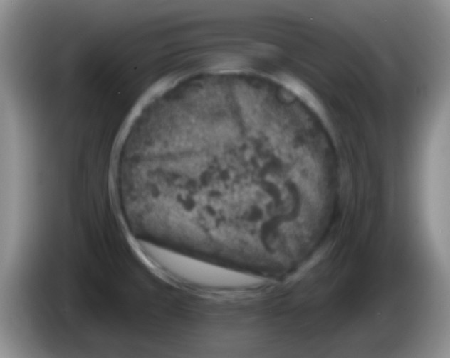 X0000083991429200703091836