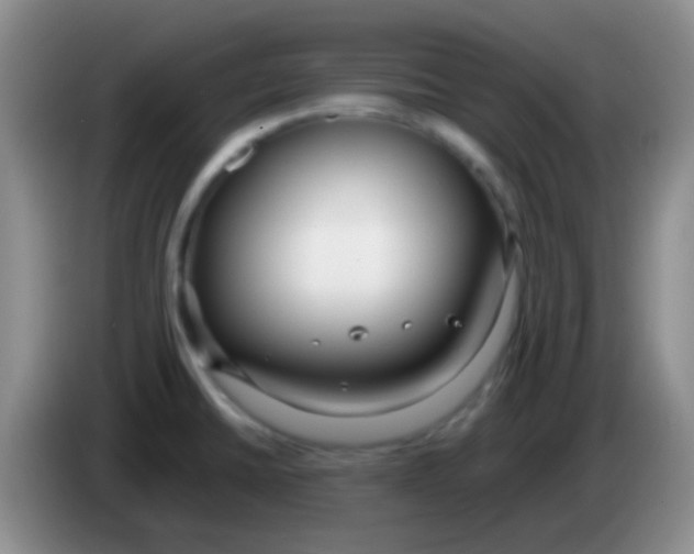 X0000083991430200703091836