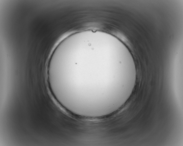 X0000083991431200703091836