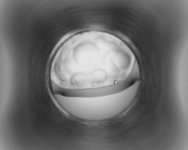 X0000083991432200703091836