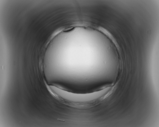 X0000083991433200703091836