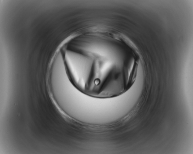 X0000083991434200703091836