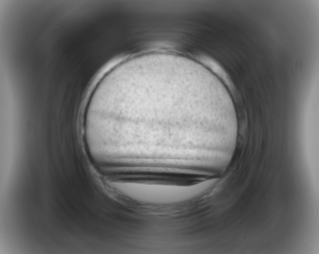 X0000083991435200703091836