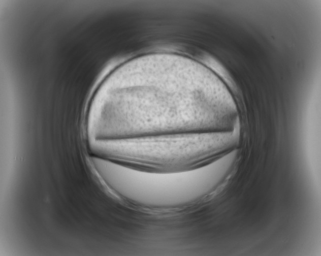 X0000083991436200703091836