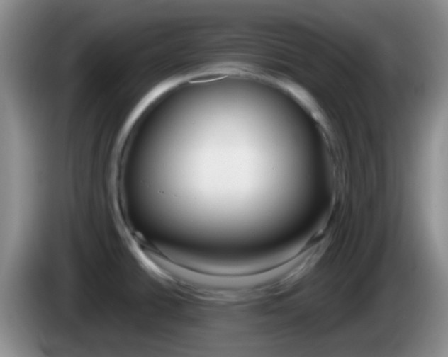 X0000083991438200703091836