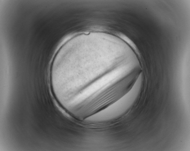 X0000083991439200703091836