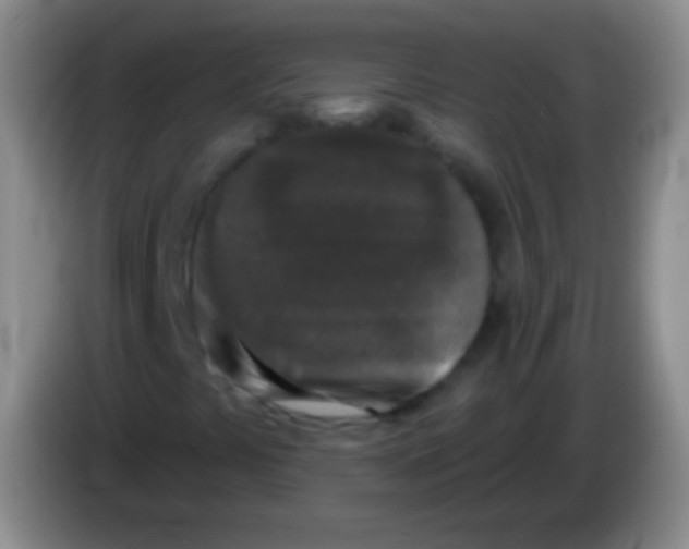 X0000083991441200703091835