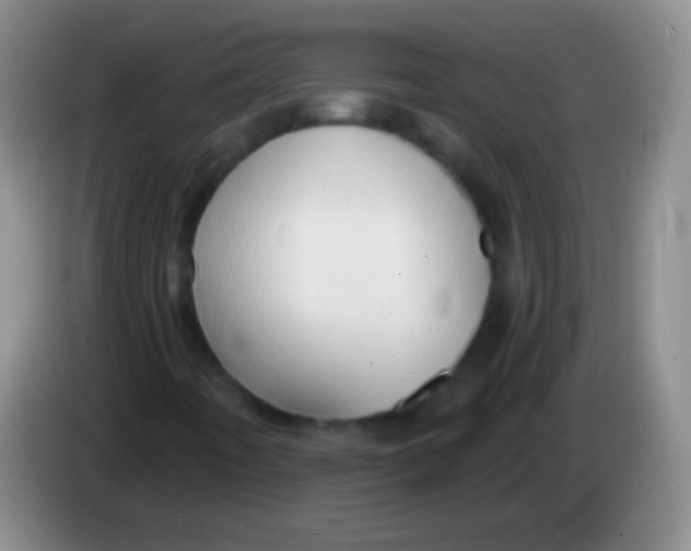 X0000083991442200703091835