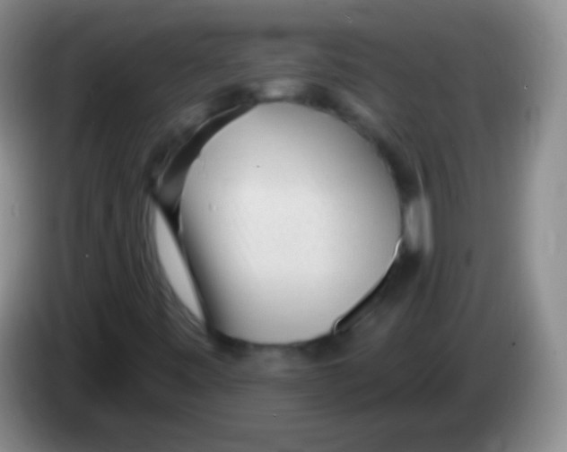 X0000083991443200703091835