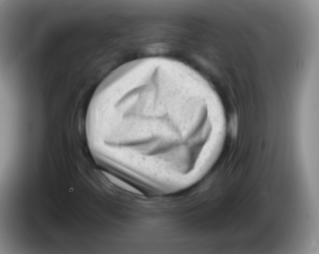 X0000083991444200703091835