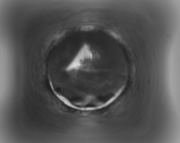 X0000083991445200703091835