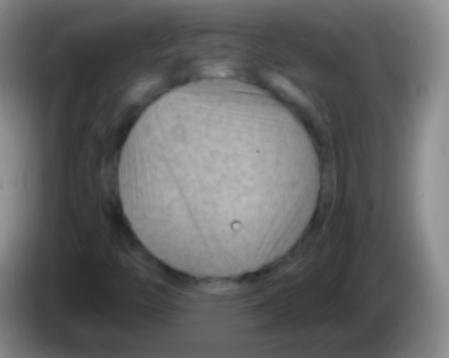 X0000083991446200703091835