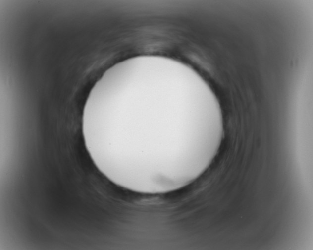 X0000083991447200703091835