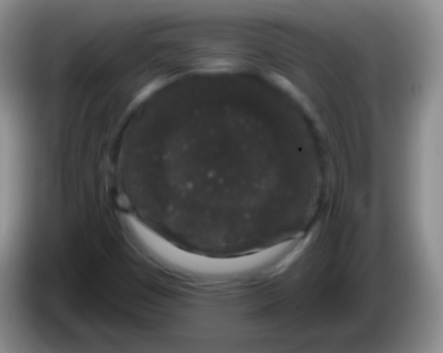 X0000083991449200703091835